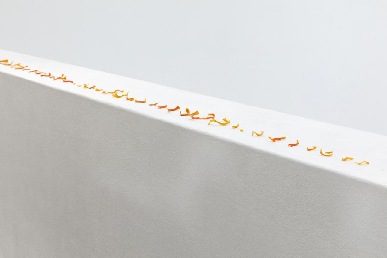 Asad Raza, Diversion, 2022