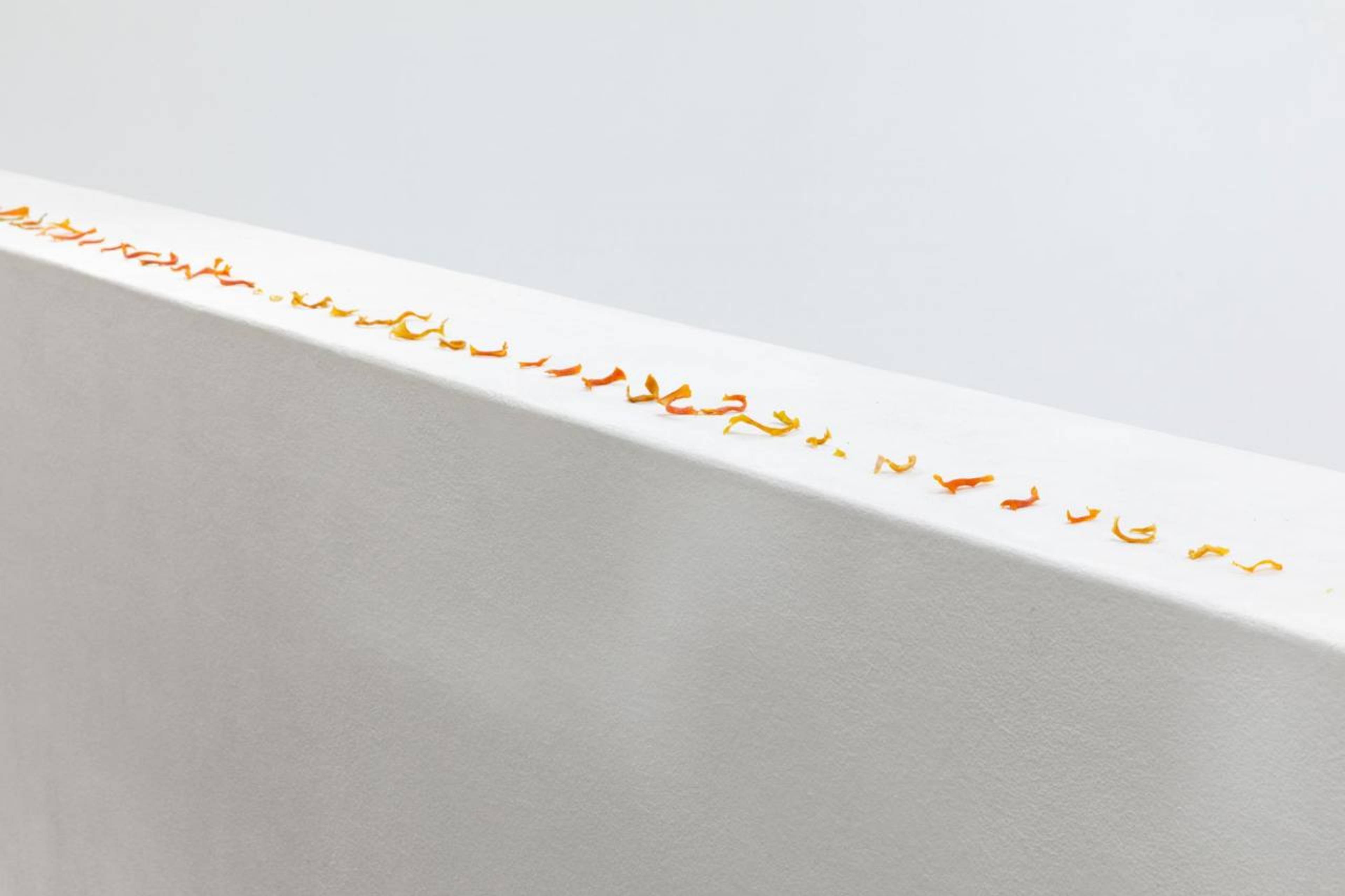 Asad Raza, Diversion, 2022