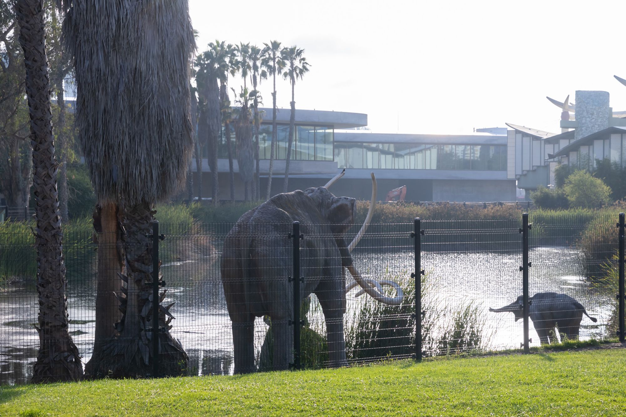 David Geffen Galleries at LACMA, LACMA’s Pavilion for Japanese Art with La Brea Tar Pits’ Lake Pit