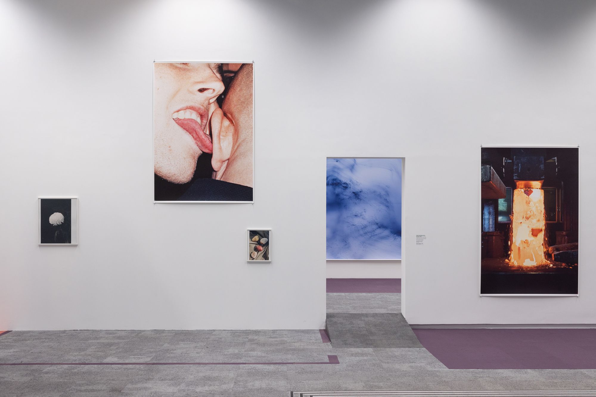 アート・デザイン・音楽 Wolfgang Tillmans SNAP ART COLLECTION 3 アート・デザイン・音楽 Wolfgang Tillmans SNAP ART COLLECTION