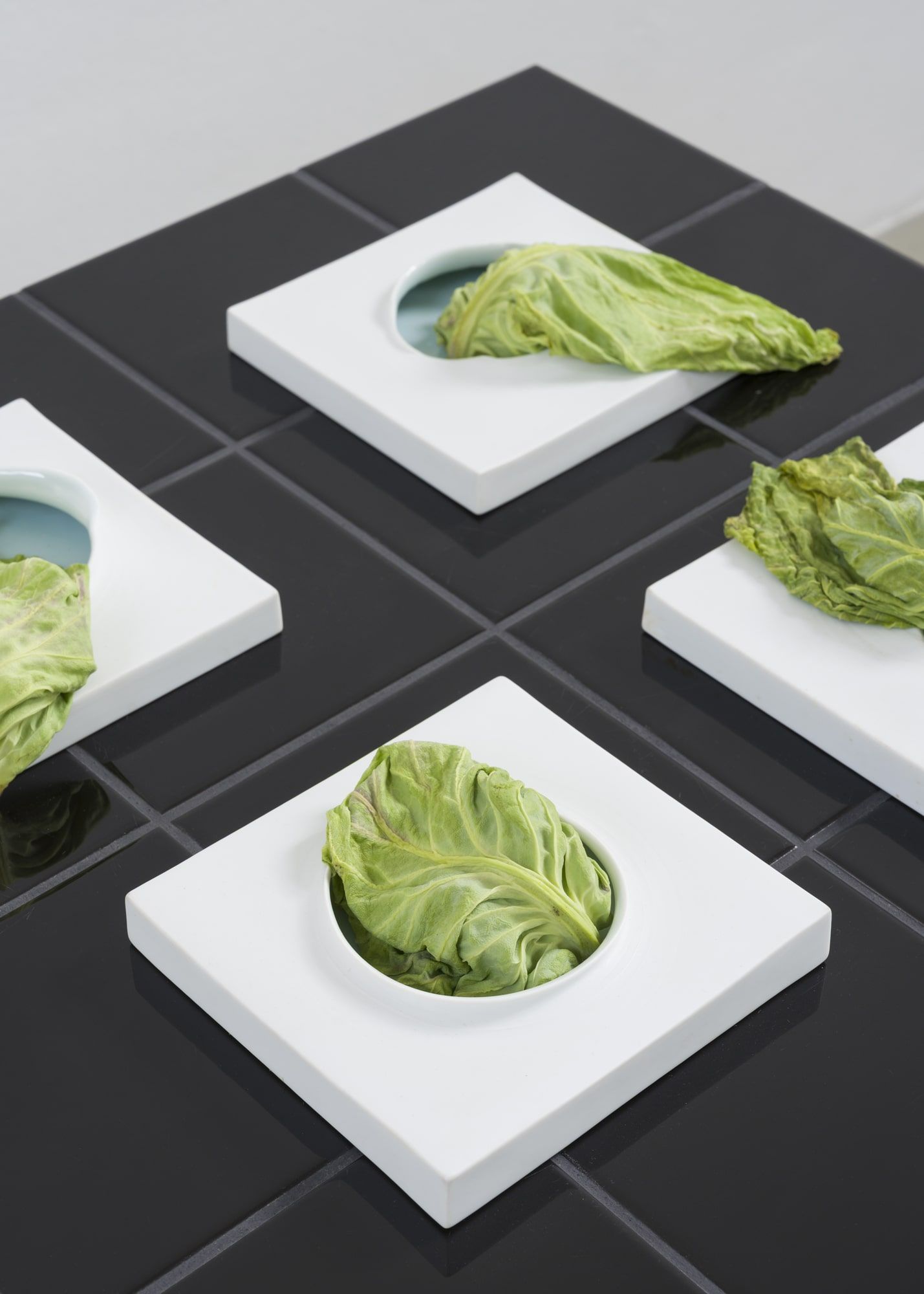 Kosen Ohtsubo, 変貌するキャベツ / Transforming Cabbage, 2025