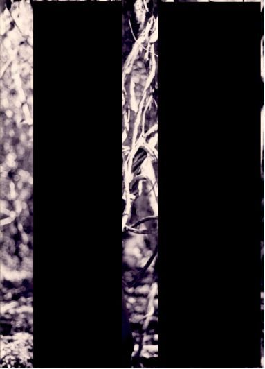 Redacted photograph, Epstein Files (Data Set 3, EFTA00004012). Courtesy: US Department of Justice