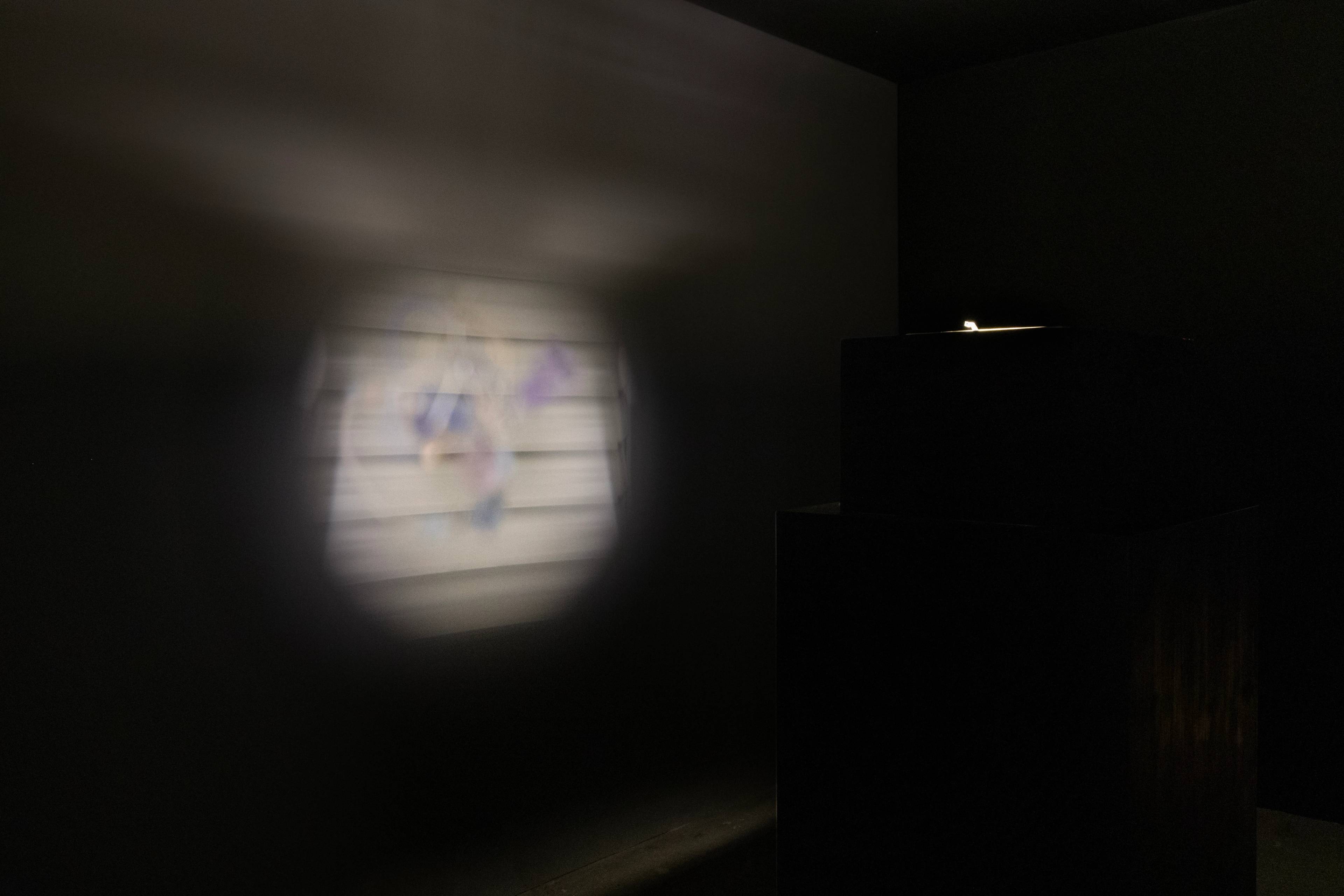 Doris Guo, Fallen Jewelry, 2023