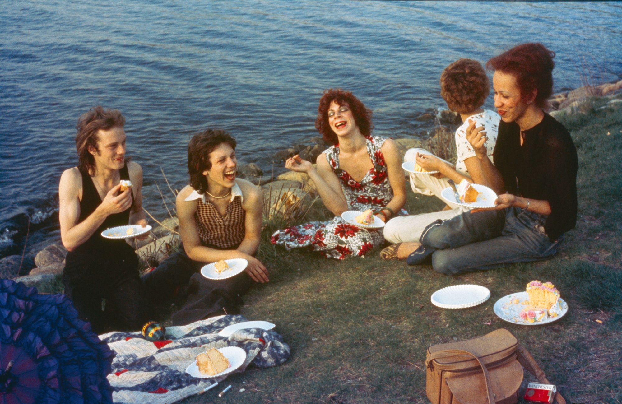 Nan Goldin, Picnic on the Esplanade, Boston, 1973