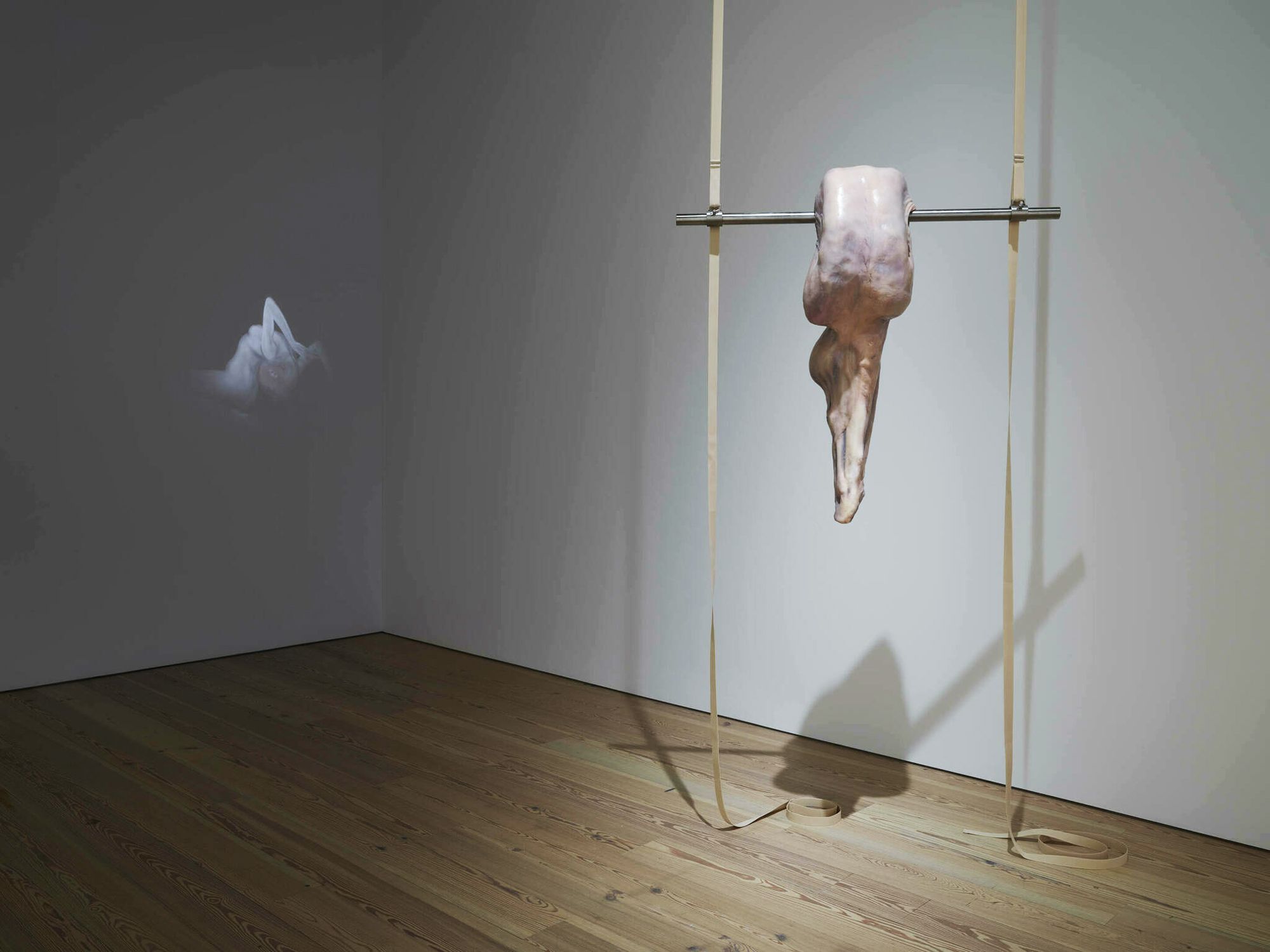 Ivana Bašić, SOMA, 2016. Installation view, Whitney Biennial, 2016
