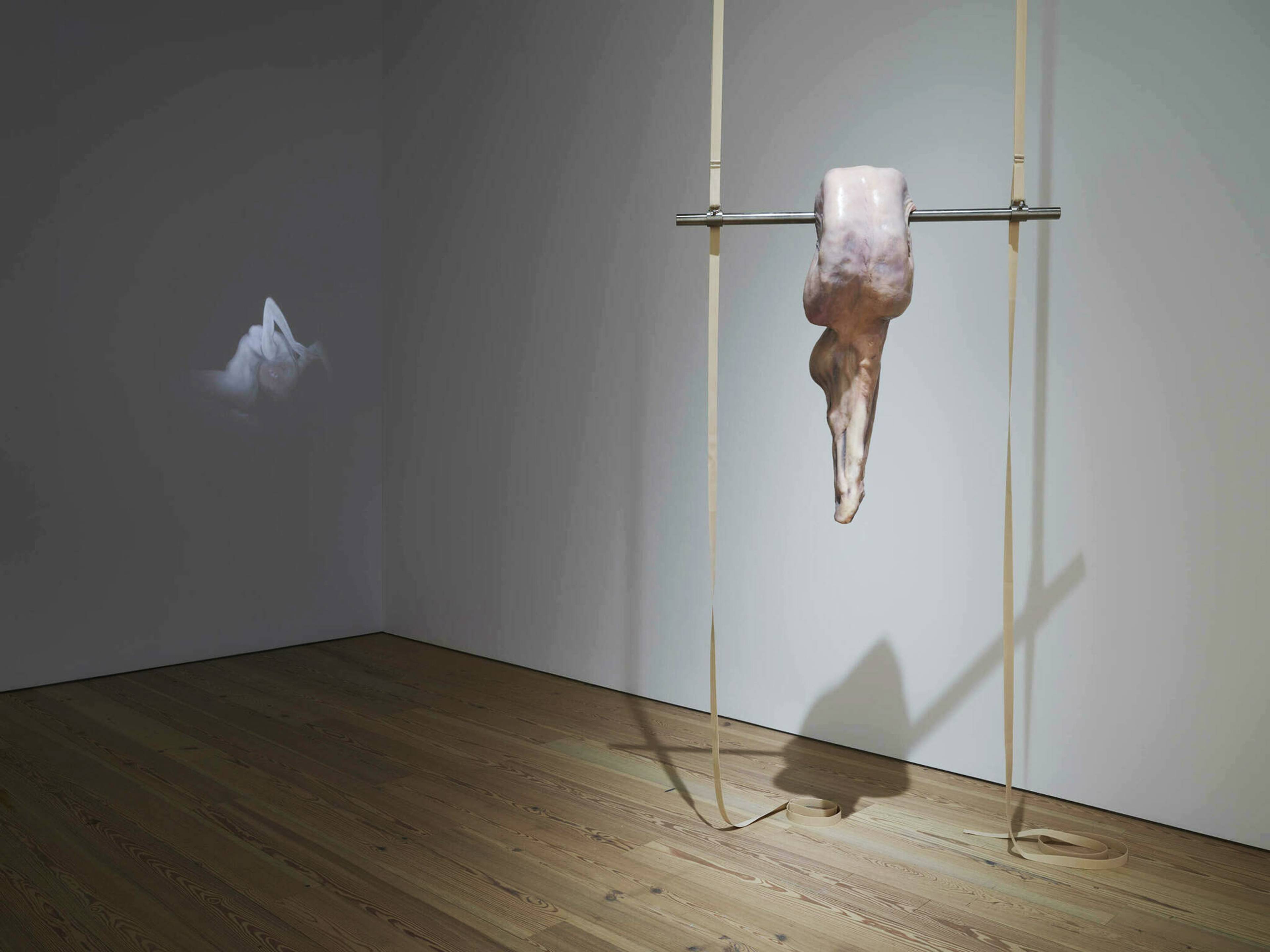 Ivana Bašić, SOMA, 2016. Installation view, Whitney Biennial, 2016