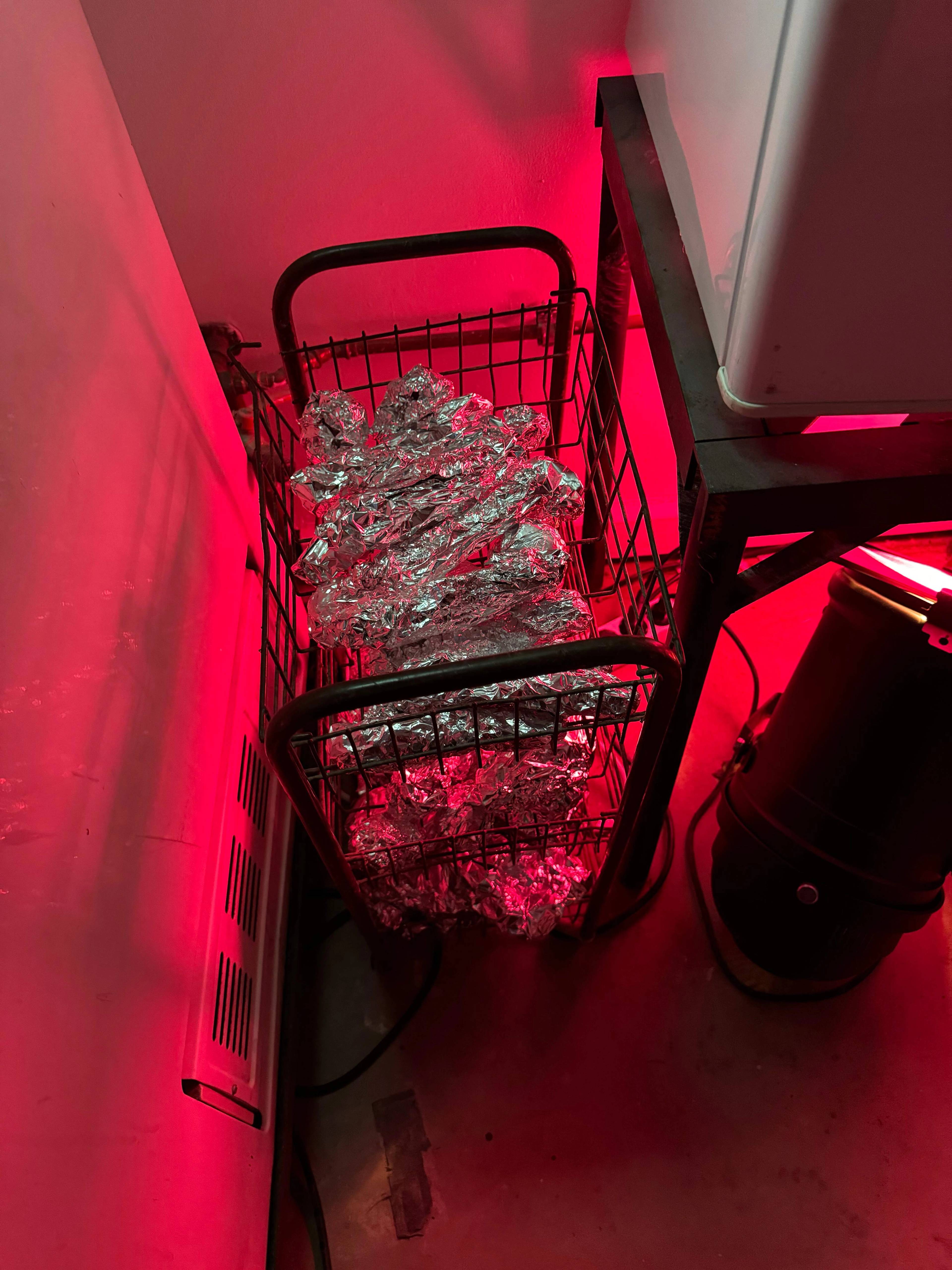 View of “Multisensory Dreams: Luminous Domes and Vibrant Phantoms”, Kunstakademie Karlsruhe, 2024