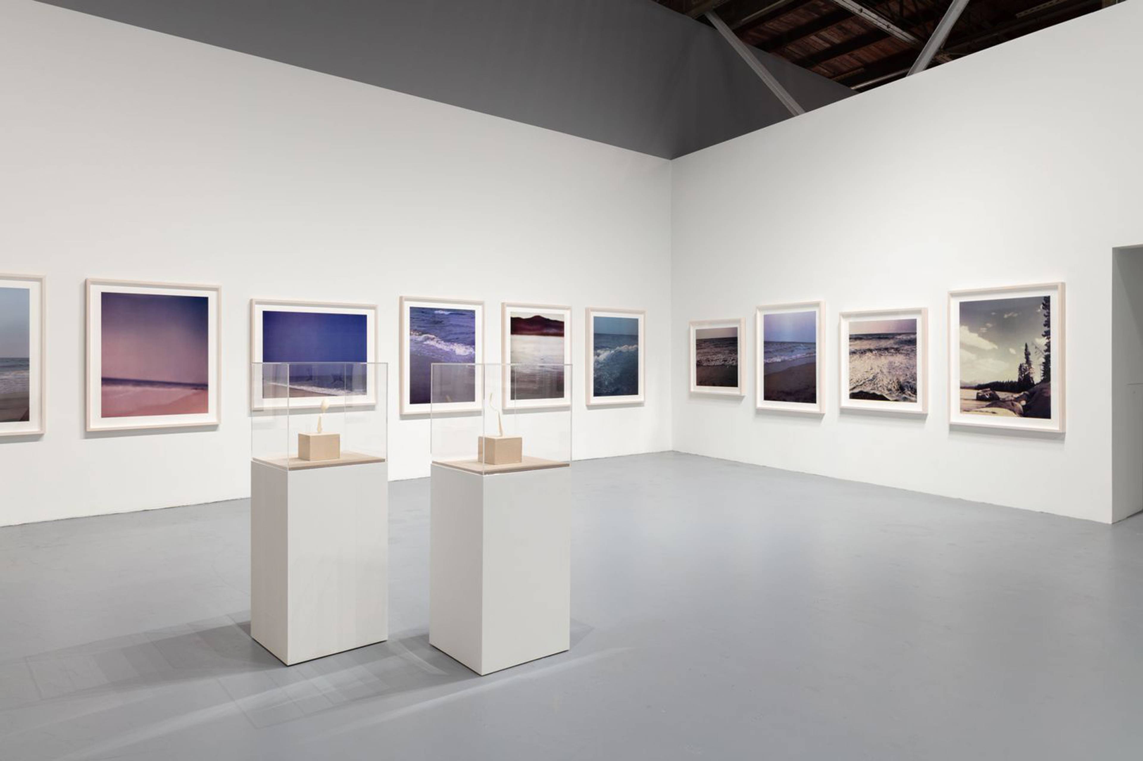 Paul Pfeiffer, 24 Landscapes, 2000/2008