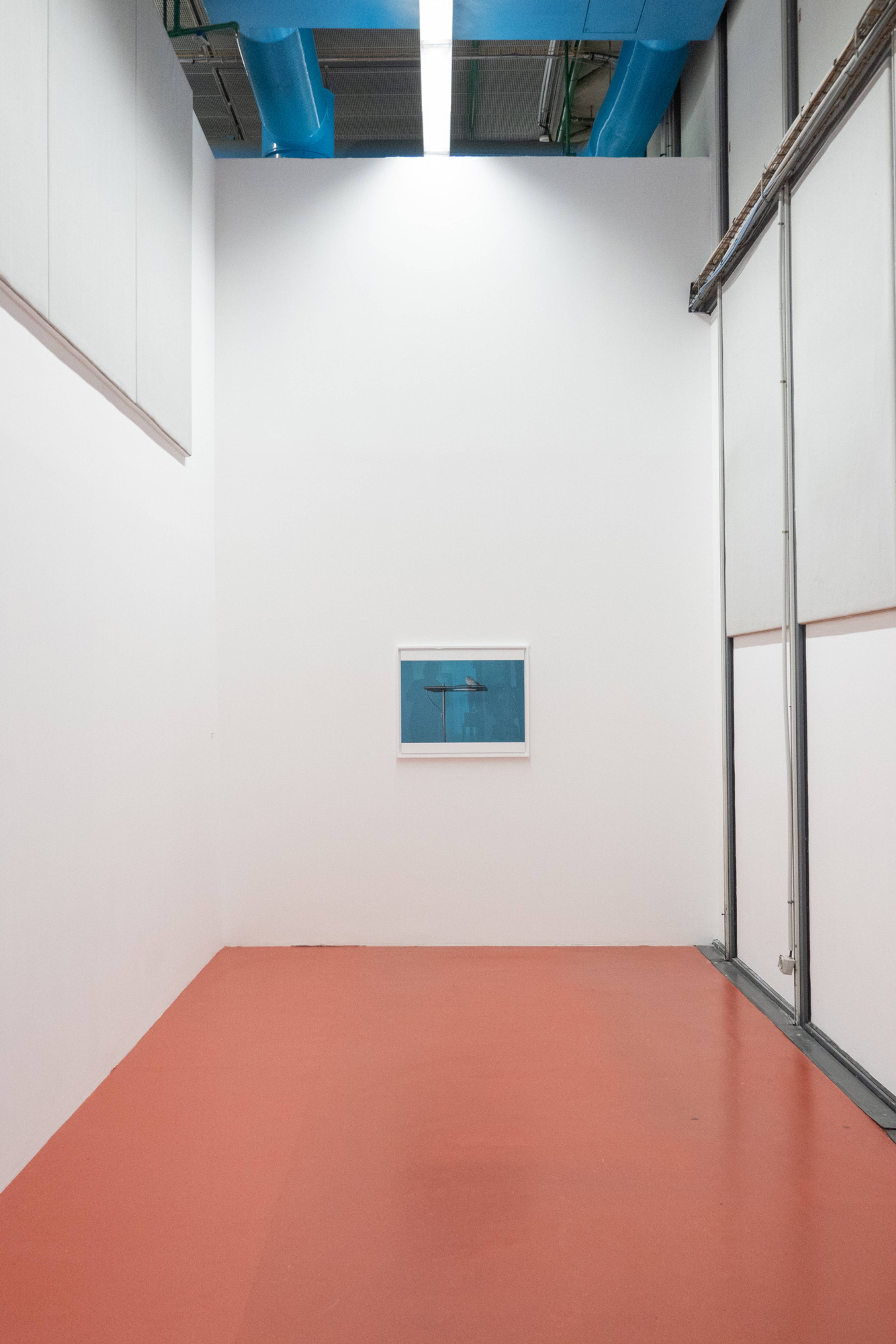Portrait – View of Wolfgang Tillmans, “Nothing could have prepared us – Everything could have prepared us,” Centre Pompidou, Paris, 2025