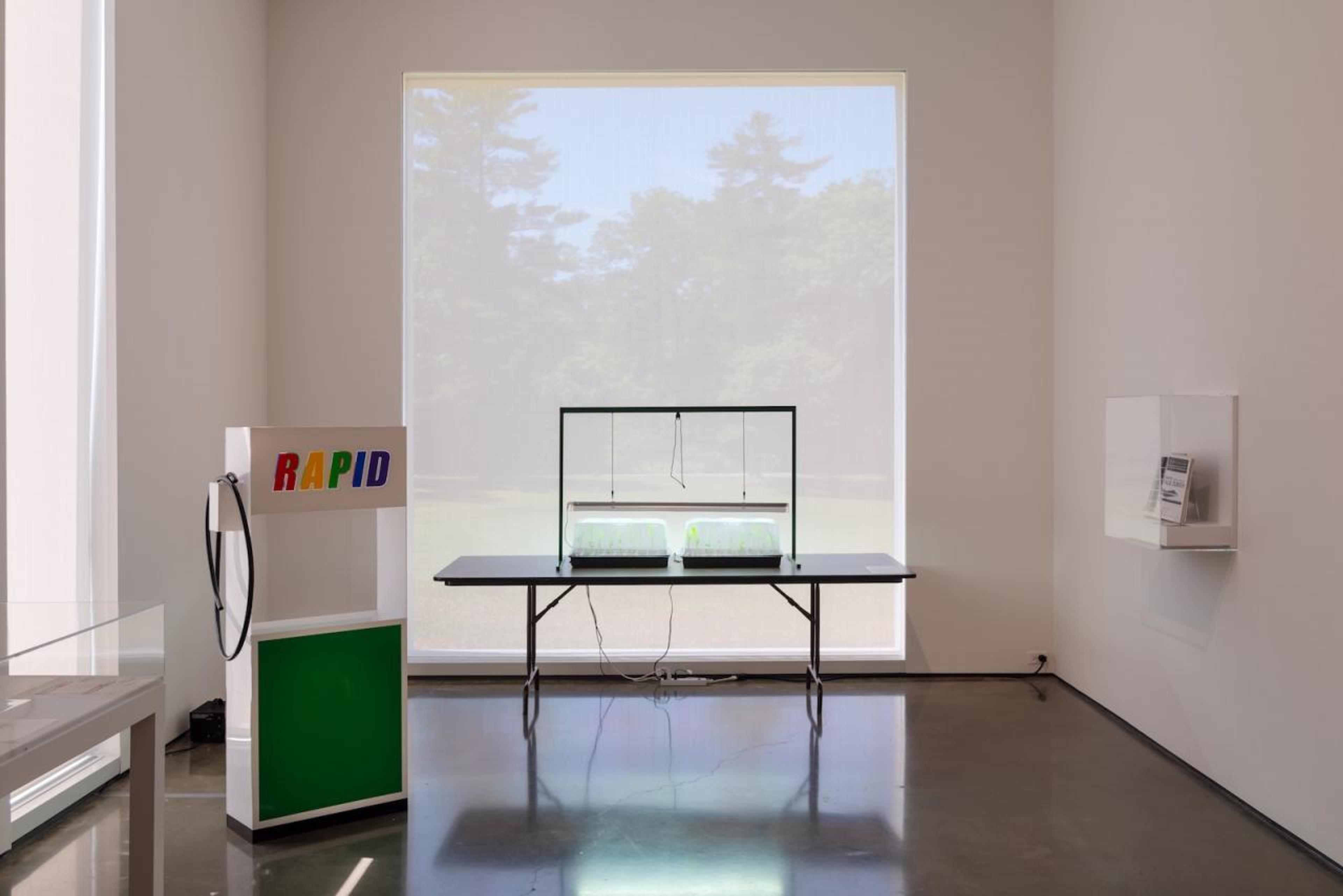 &ldquo;The Conditions of Being Art: Pat Hearn Gallery and American Fine Arts, Co. (1983&ndash;2004)&rdquo;, Hessel Museum of Art , 2018