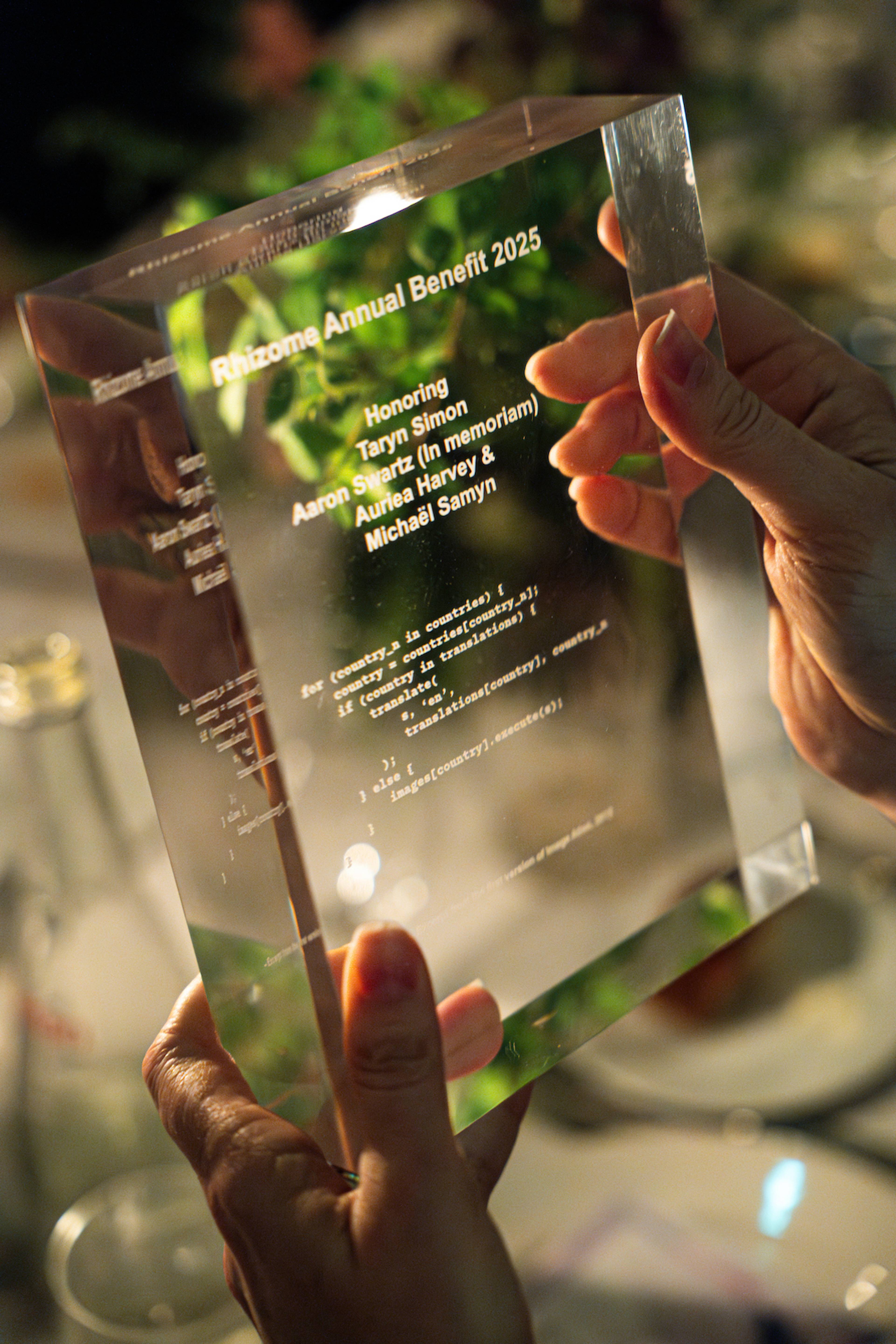 Rhizome Annual Benefit 2025