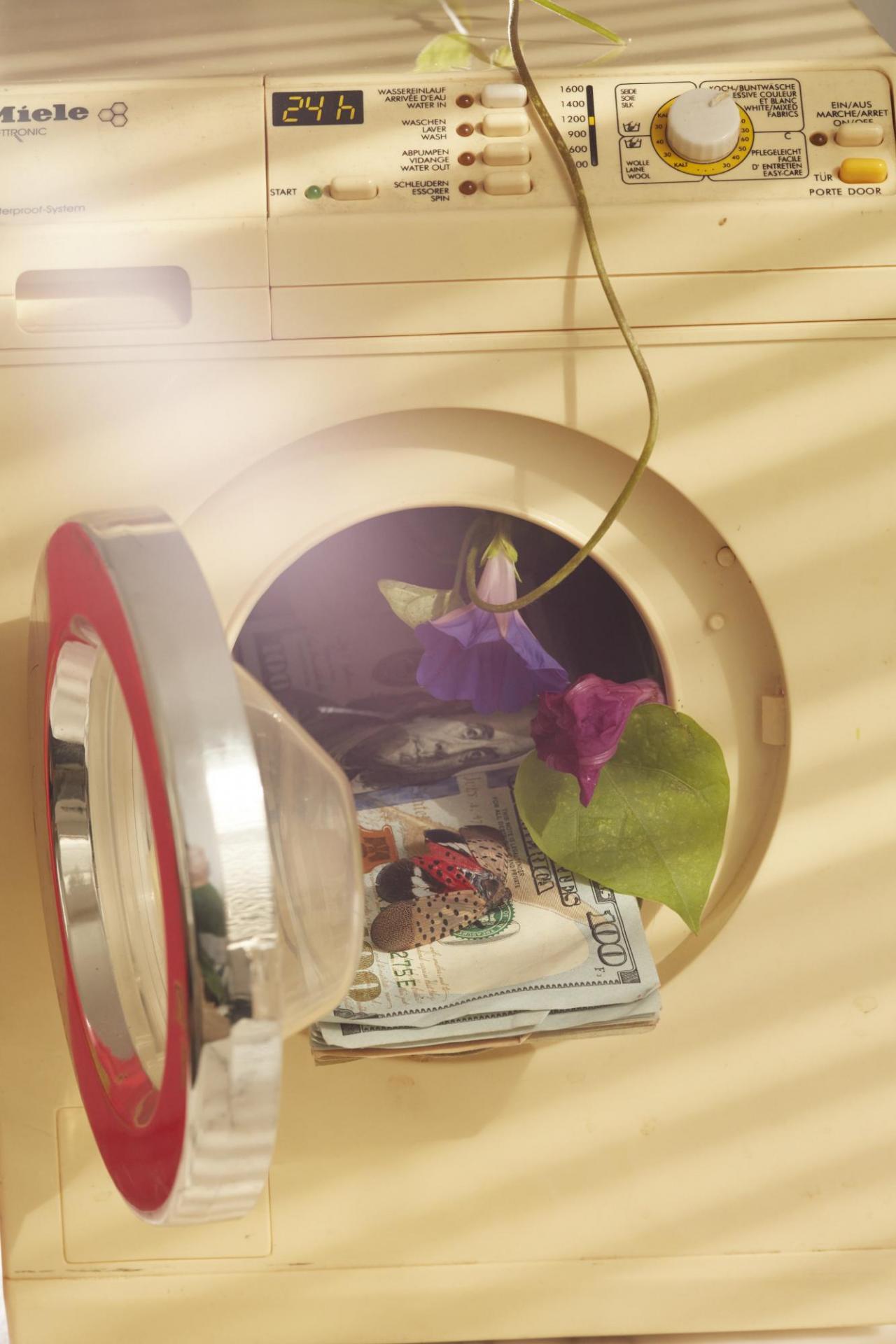 Roe Ethridge, Prick Washer with Ador-gnome, 2022