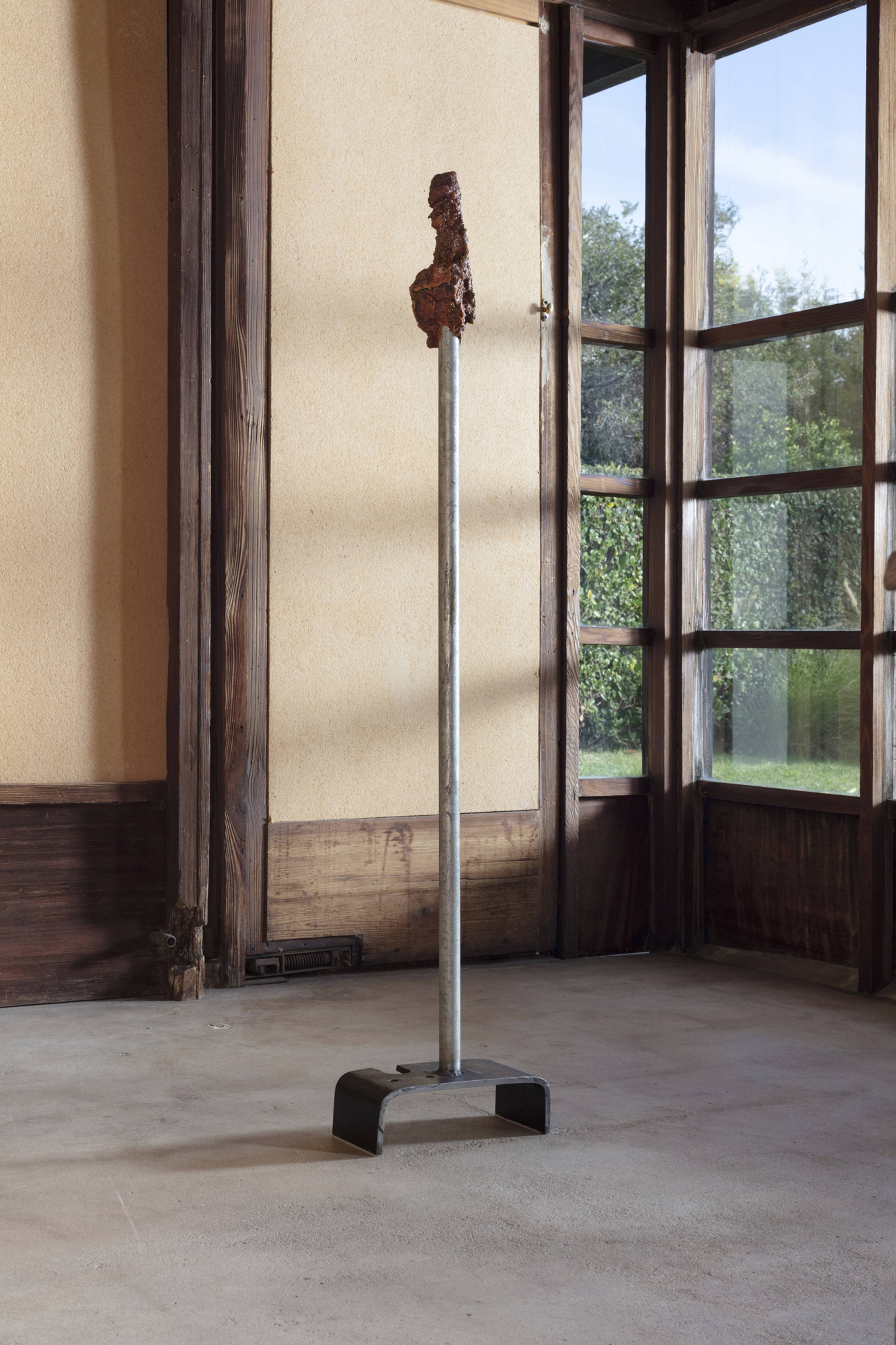 Helmut Lang, for you, 2024