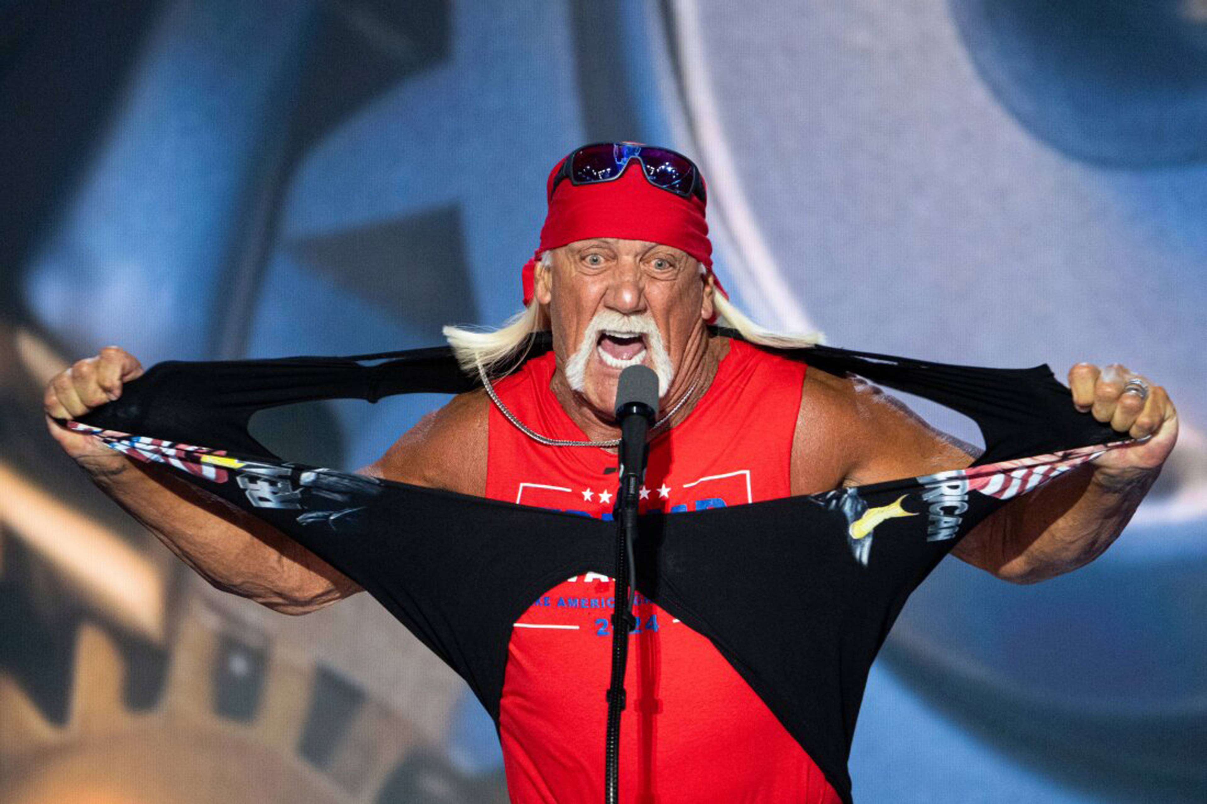 Pro wrestler Hulk Hogan