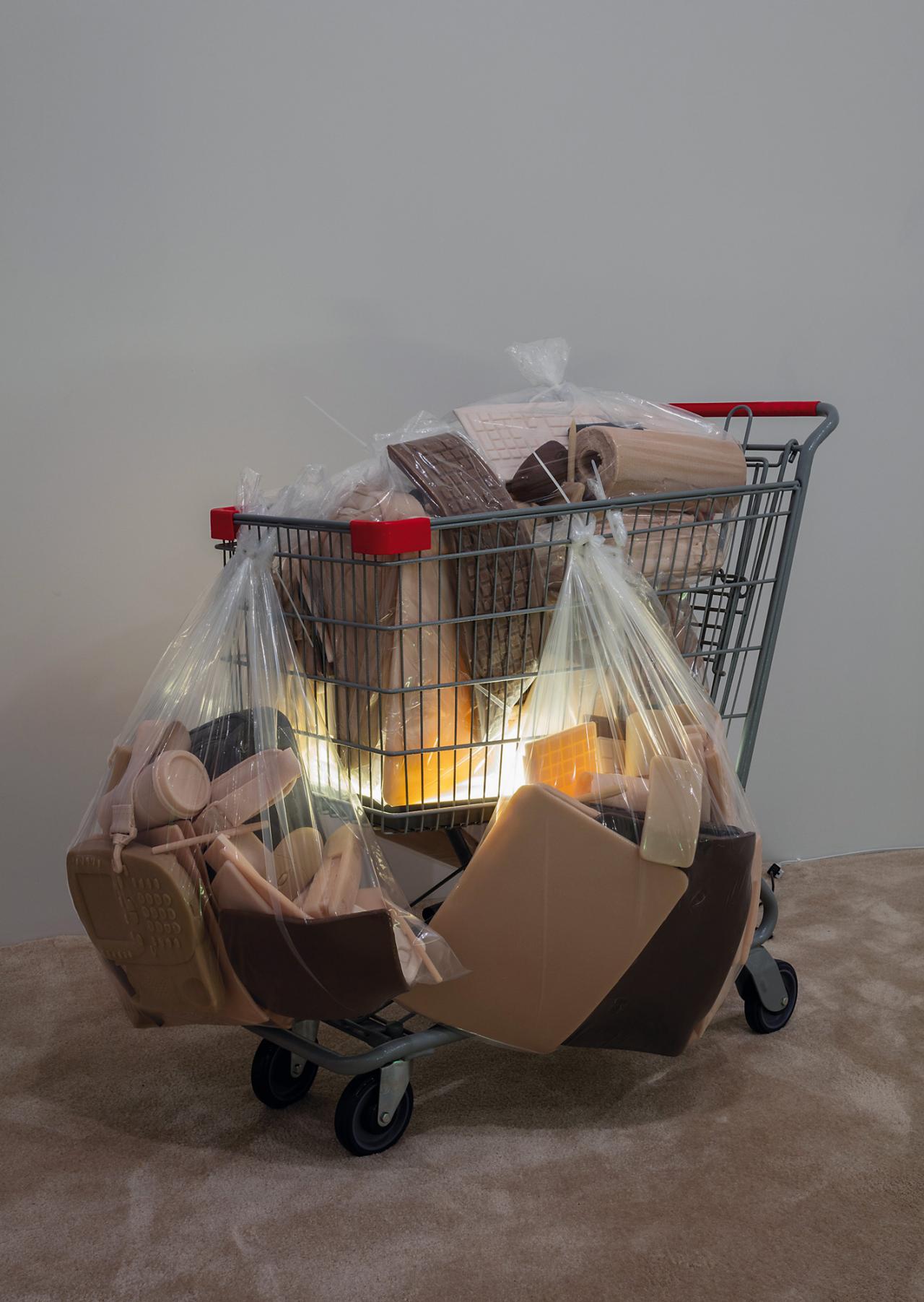 Josh Kline, Poverty Dilation, 2016