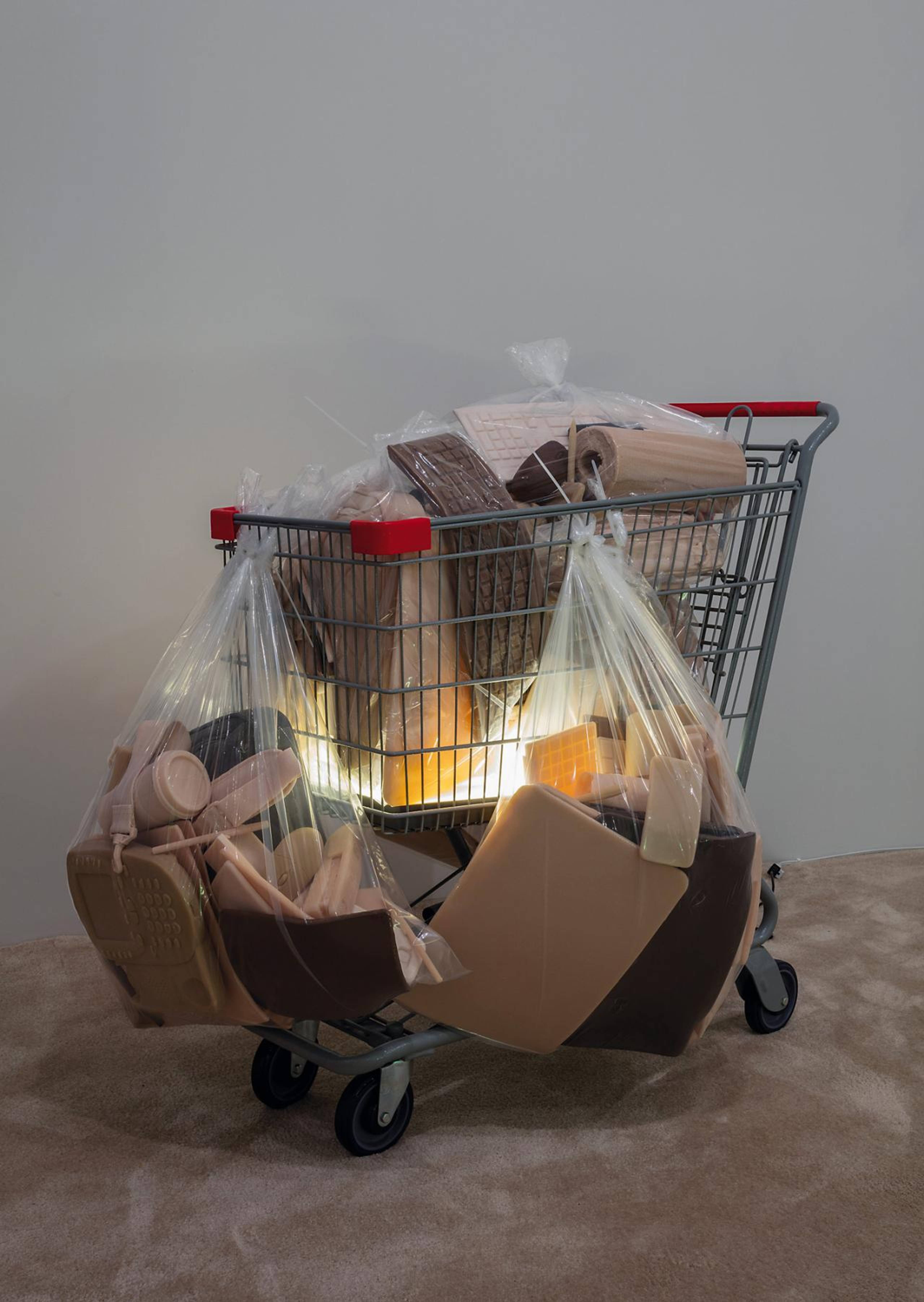 Josh Kline, Poverty Dilation, 2016