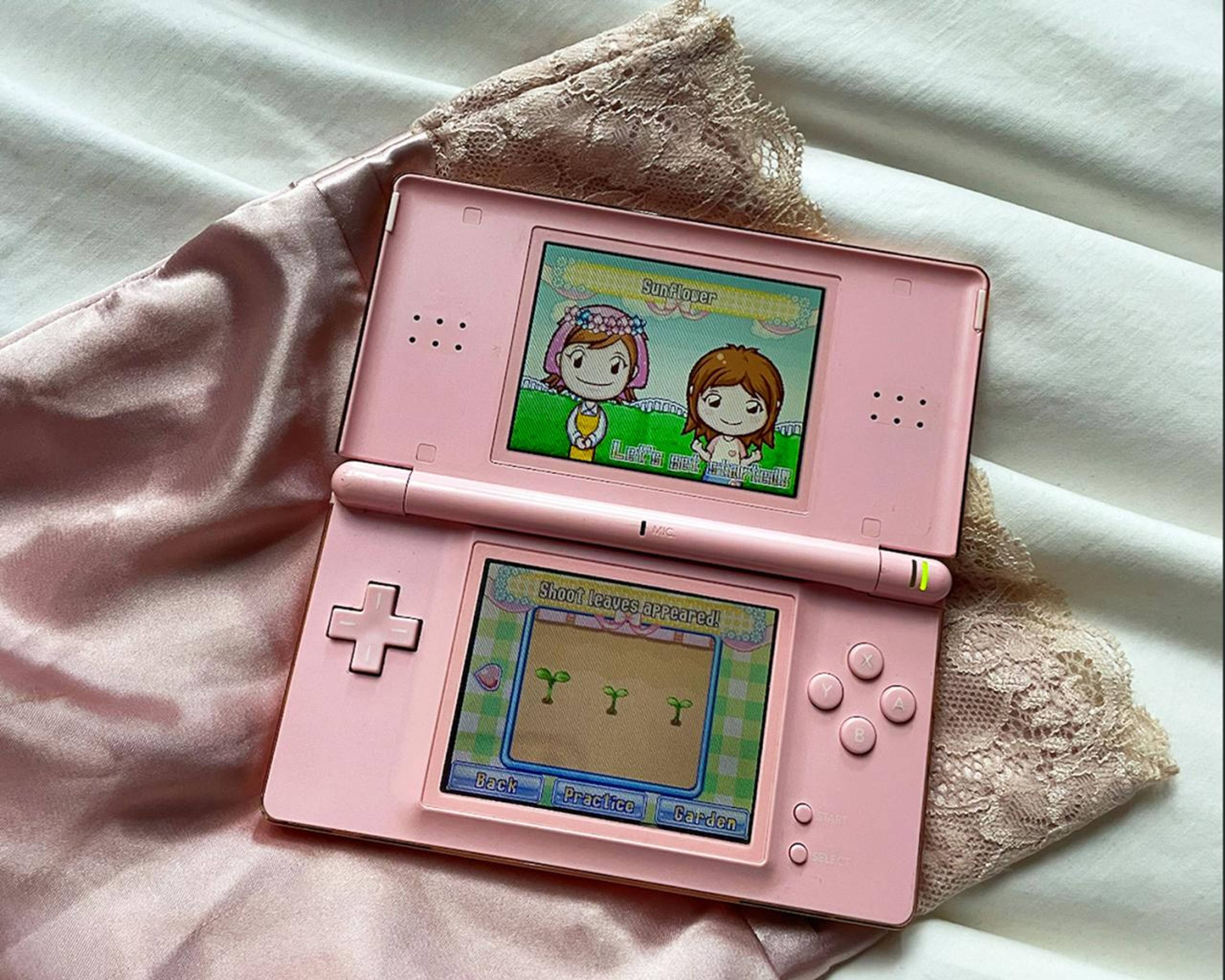 Gardening Mama on the author’s Nintendo DS, 2023