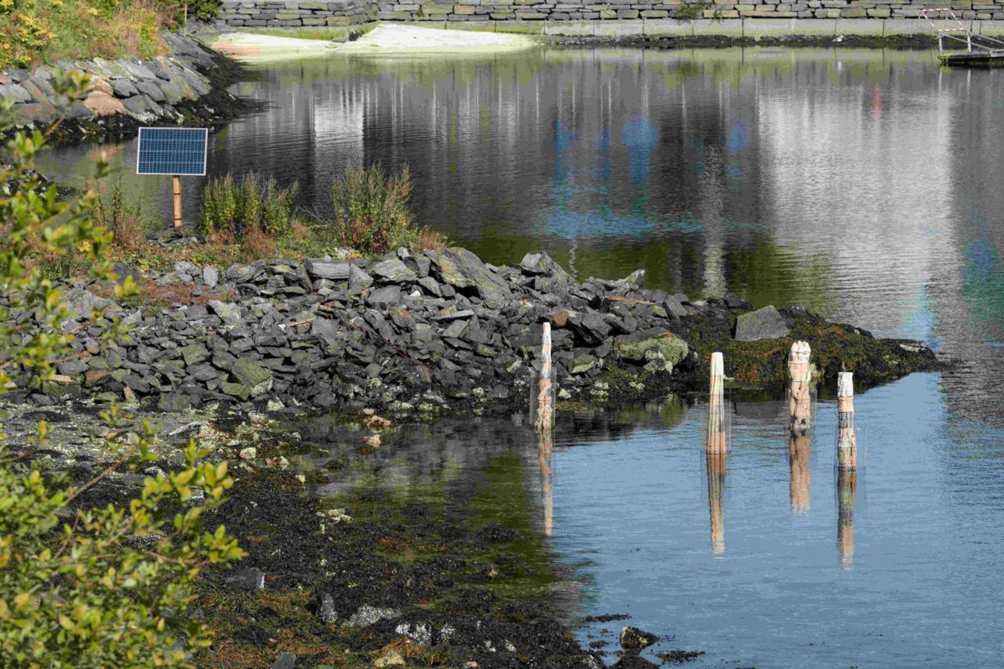 Installation view of Trond Ansten, Kåre Aleksander Grundvåg, Intertidal III  (2021)at Gamle Nygårdsbro. Photo: Thor Brødreskift