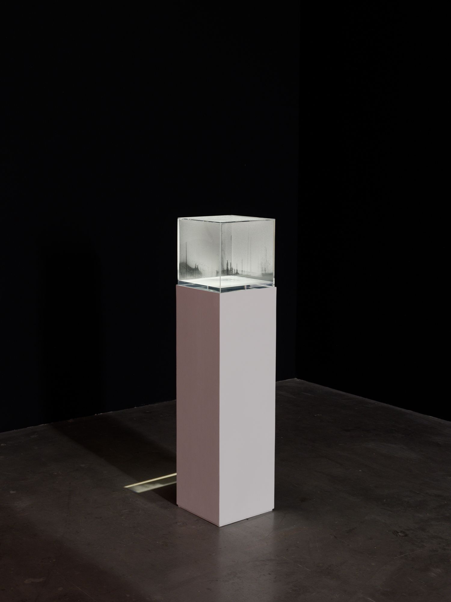 Hans Haacke, Condensation Cube, 1963–65