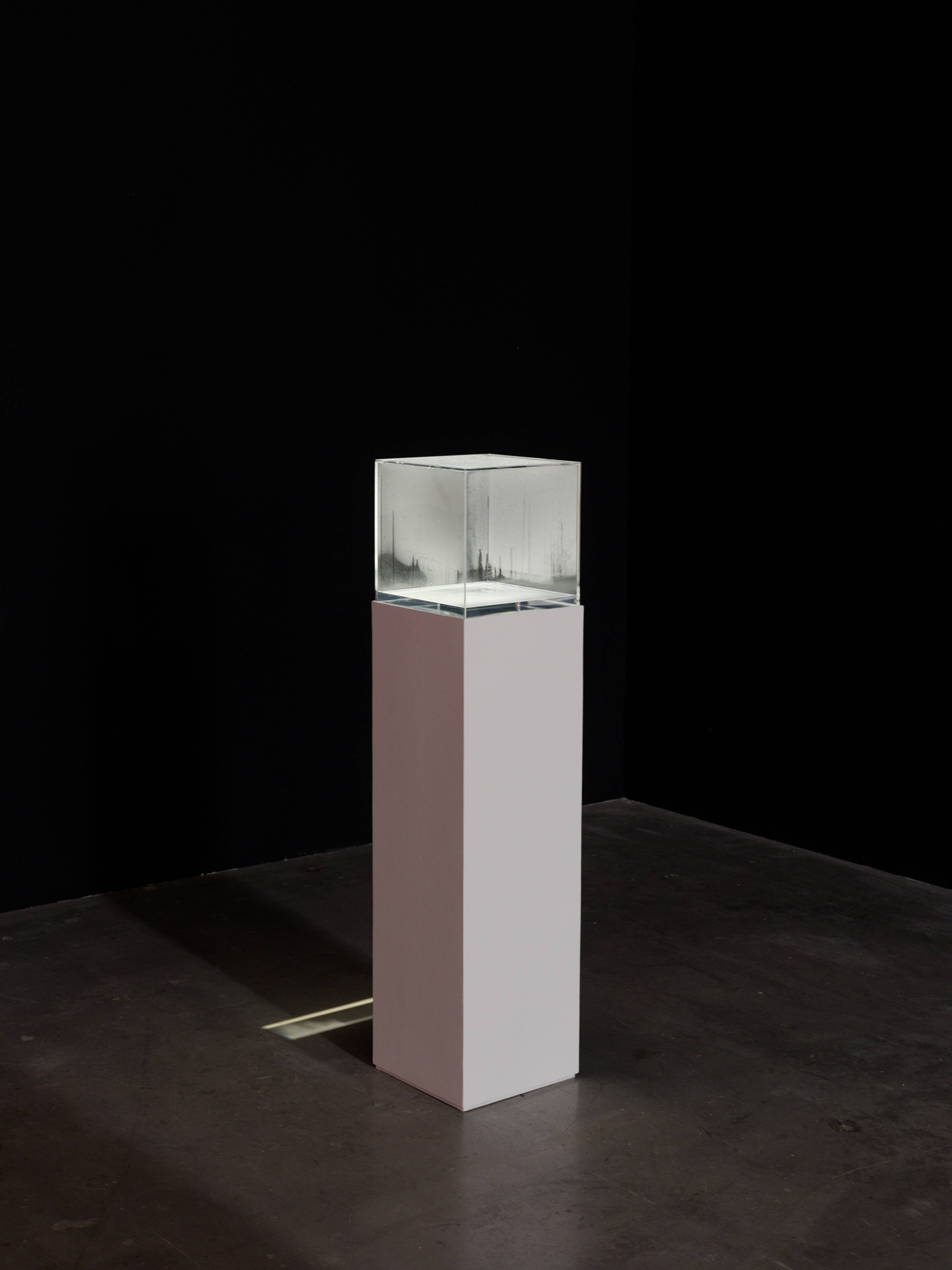 Hans Haacke, Condensation Cube, 1963–65