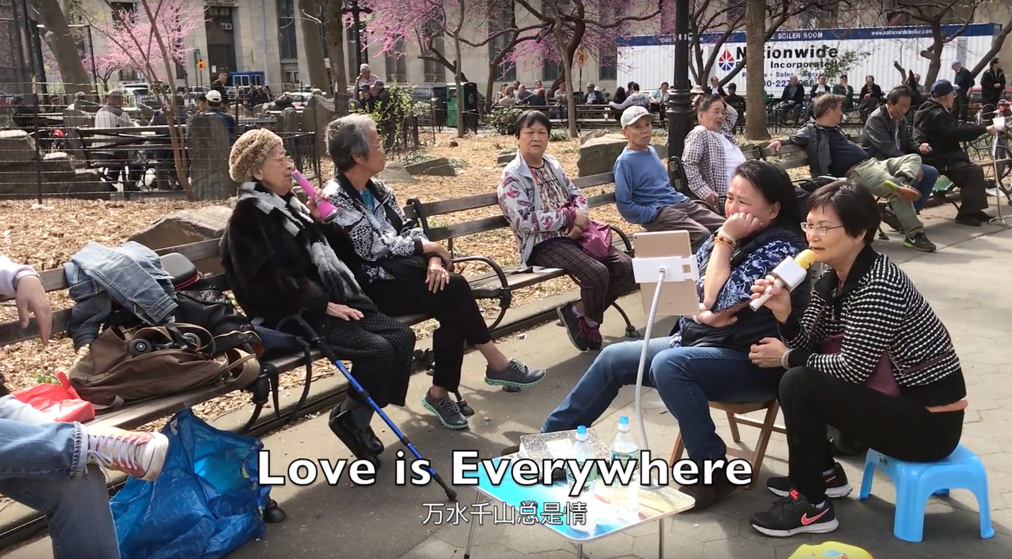  Lu Zhang, Karaoke at Columbus Park, Wildman CLAB, 2017