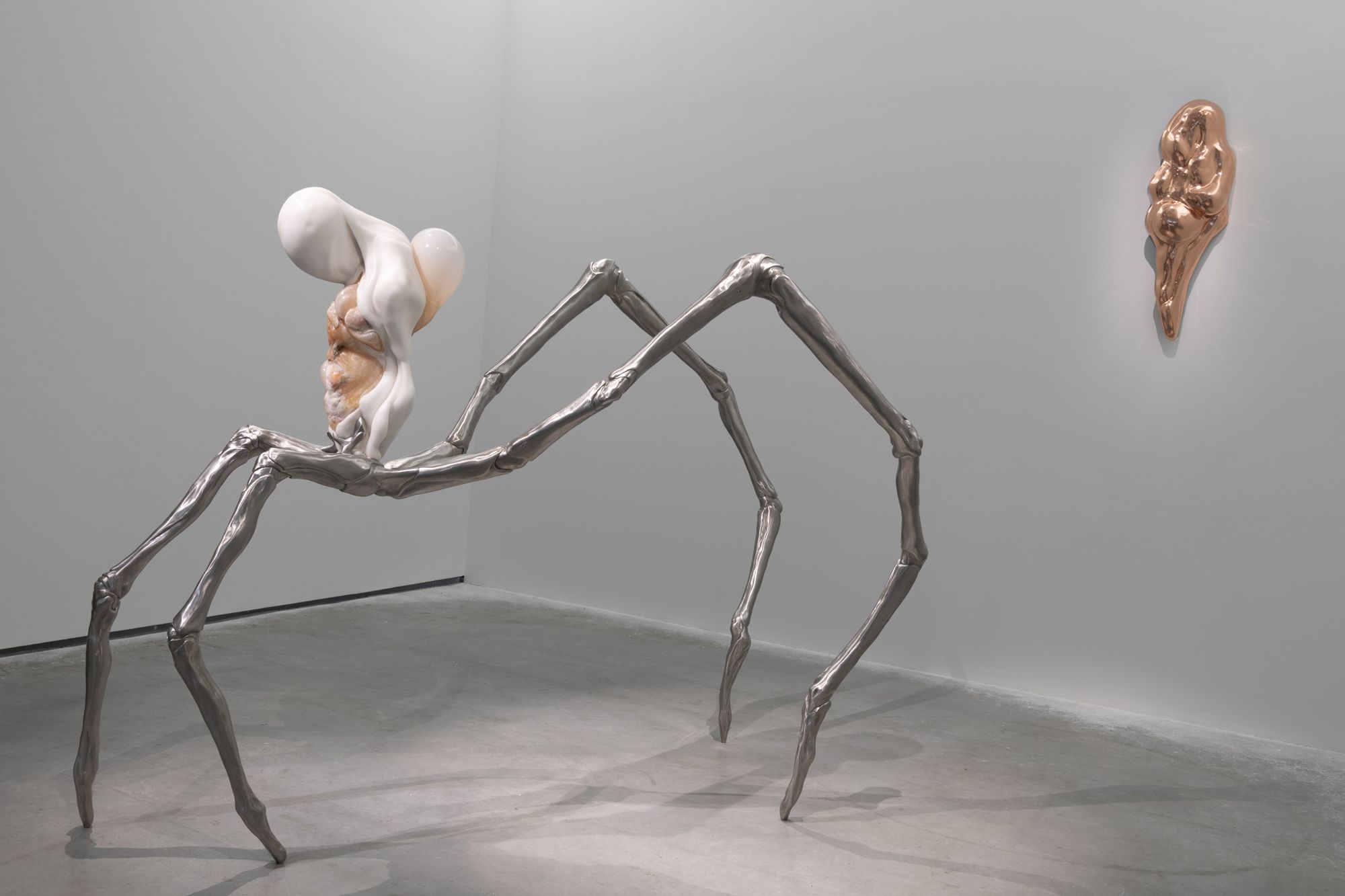 View of “Metempsychosis,” MO.CO, Montepellier, 2025