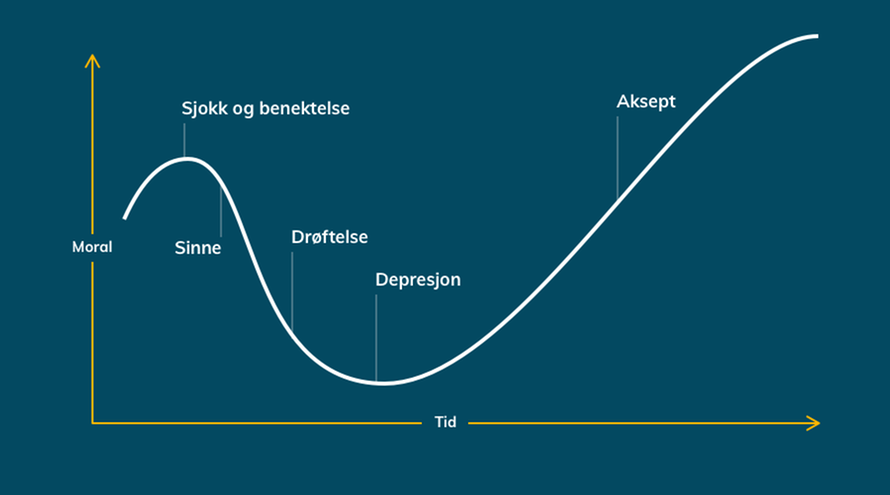 Graf som viser de fem endringsreaksjonene. 