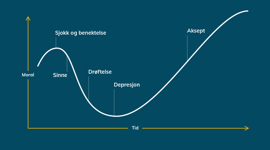 Graf som viser de fem endringsreaksjonene.