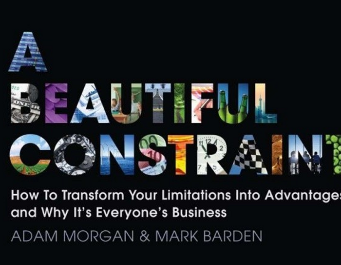 Bokomslaget til "A beautiful constraint"