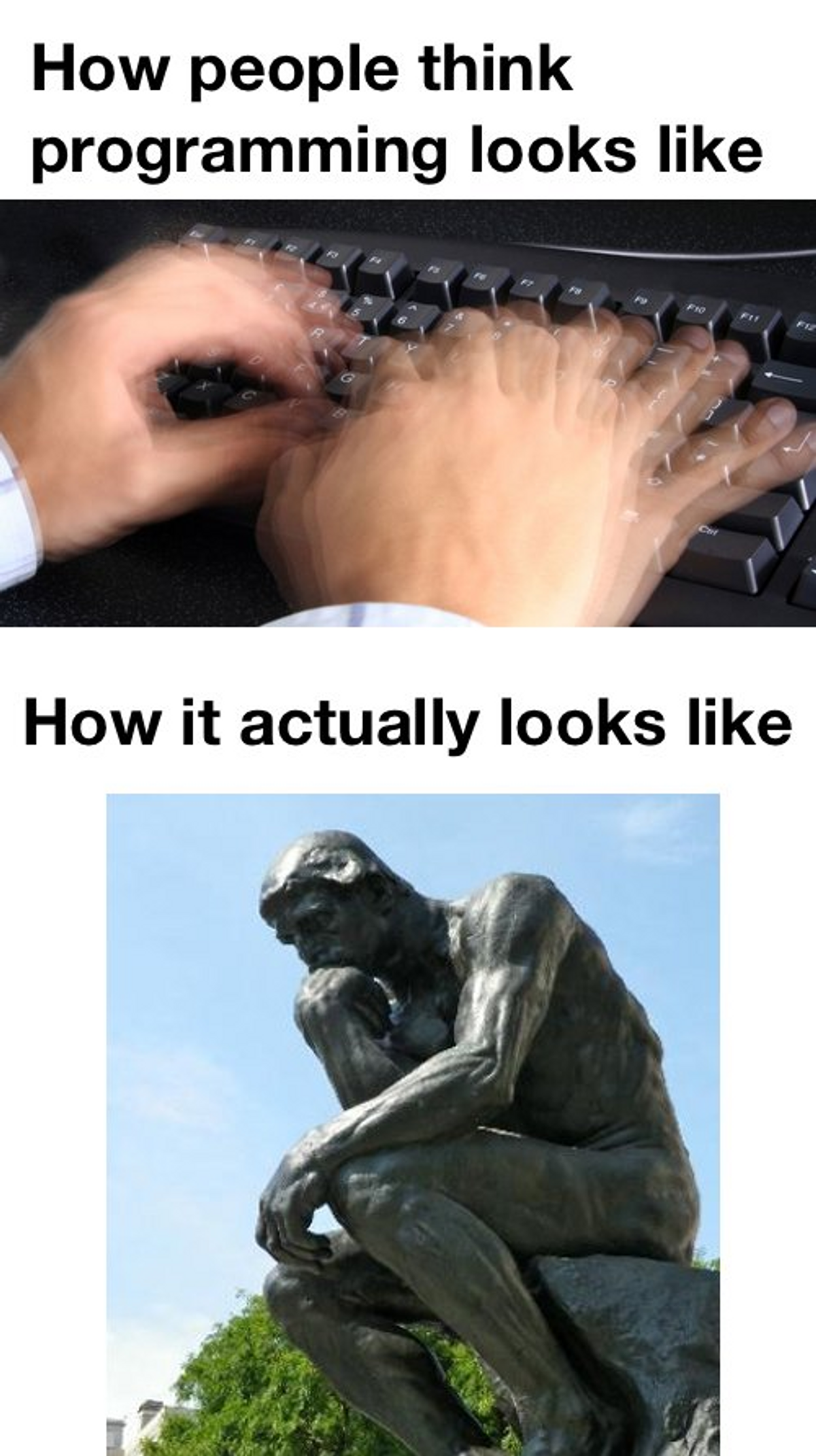"how people think programming looks like": Én som kriver veldig fort. "how it actually looks like": En tenkende statue.