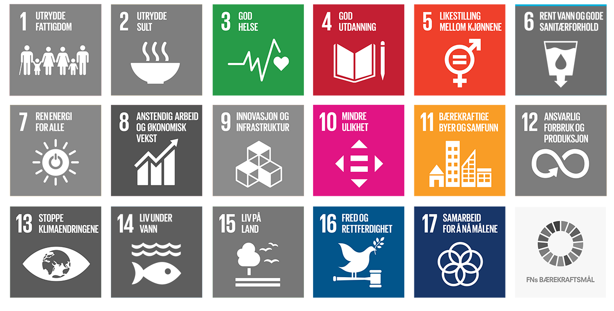 Kolorisert visning av bærekraftsmål som anngår menneskerettigheter