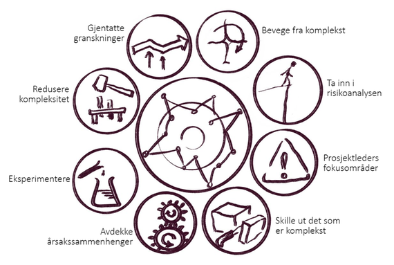 Samme illustrasjon av kompleksitet som i hovedbildet