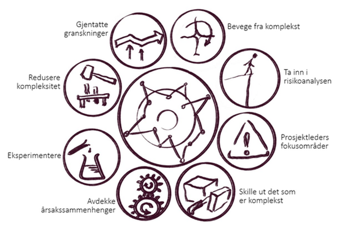 Samme illustrasjon av kompleksitet som i hovedbildet