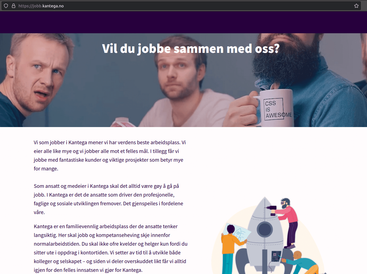 Skjermdump fra nettside med ledige stillinger