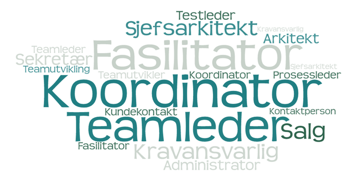 Rollene i teamledelse fremhevet i ulik tekststørrelse