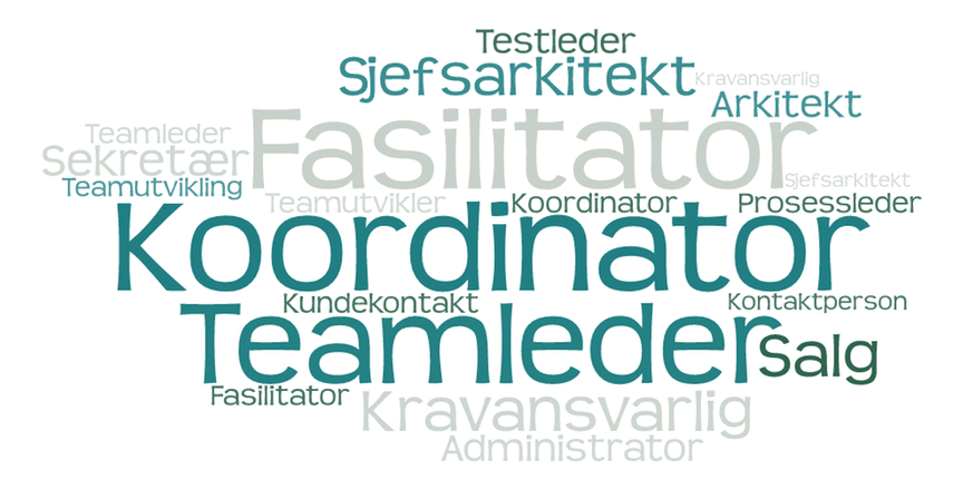 Rollene i teamledelse fremhevet i ulik tekststørrelse