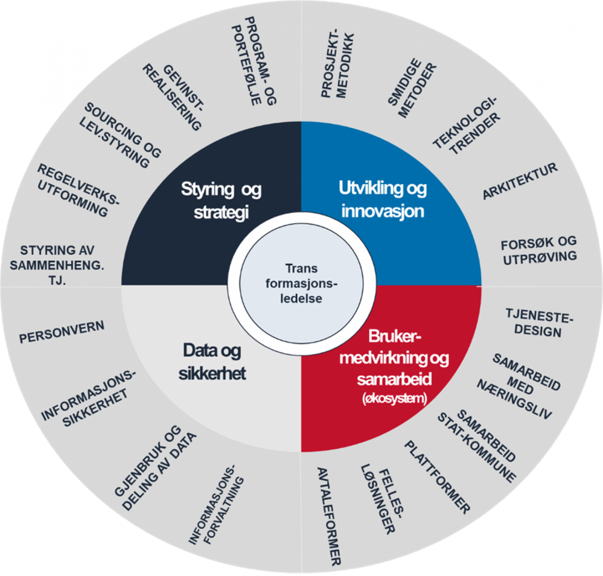 Figuren illustrerer sentral fagkompetanse og ferdigheter for digitale transformasjoner, ifølge Digitaliseringsdirektoratet.