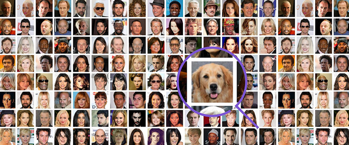 Collage of many pictures of people. One of the pictures stand out bigger: picture of a dog with a circle around it.