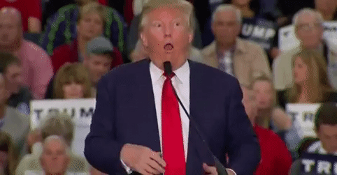 En gif av Trump som gjør narr av en utviklingshemmet person