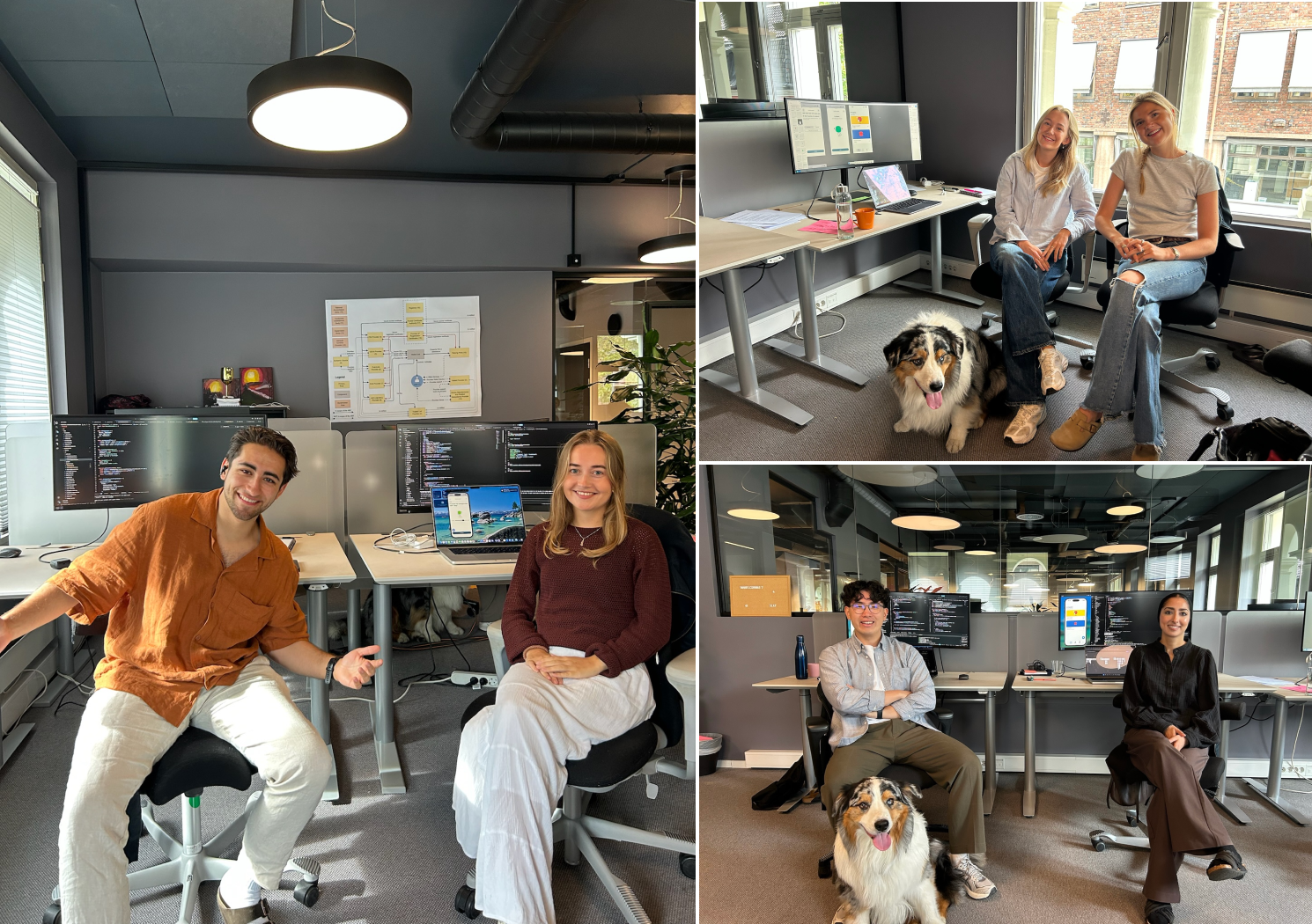 Kollasj med bilder av utviklerne og kontorhund i kontor-miljø