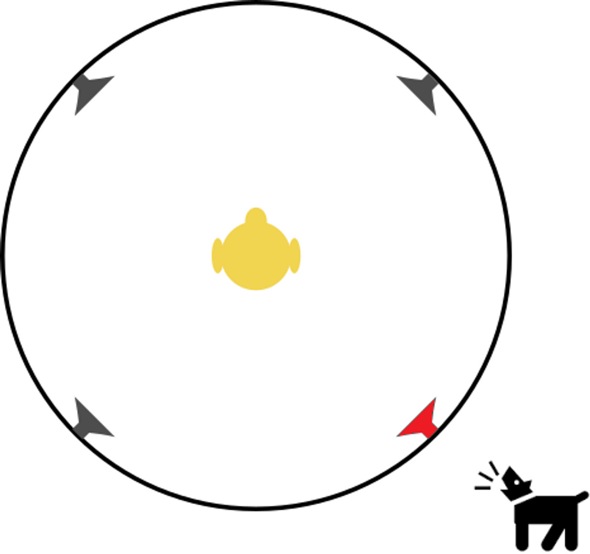En person i senter. En hund, og høyttaleren nærmest hunden lyser rødt for å signalisere hvor lyden kommer fra.