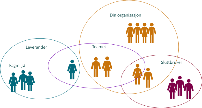 Team-organisering. Teamet har overlapp til flere grupper; leverandør, fagmiljø, sluttbruker etc.