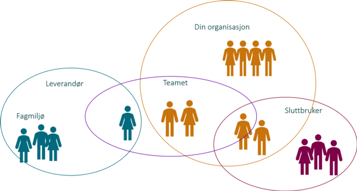 Team-organisering. Teamet har overlapp til flere grupper; leverandør, fagmiljø, sluttbruker etc.