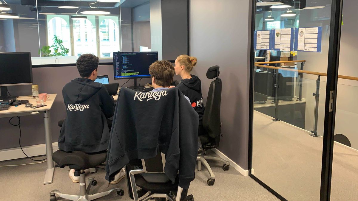 Utviklere mobprogrammerer