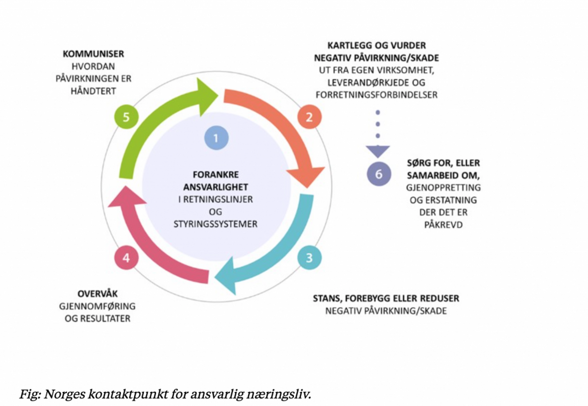 Prosess for ivaretakelse av Åpenhetsloven, fra Etisk Handel