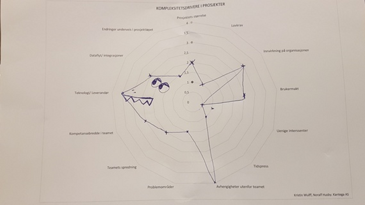 Illustrasjon av kompleksitet i prosjekter