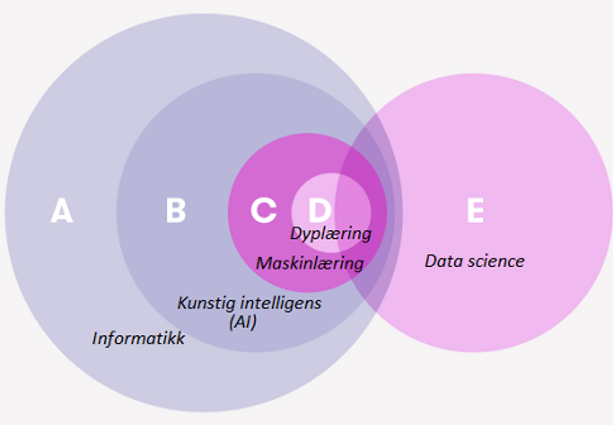 Informatikk, AI, ML og dyplæring er en del av hverandre. Data science står separat, men overlapper med de andre.