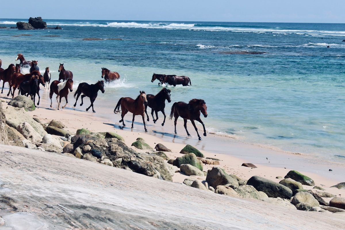 Nihiwatu Coast