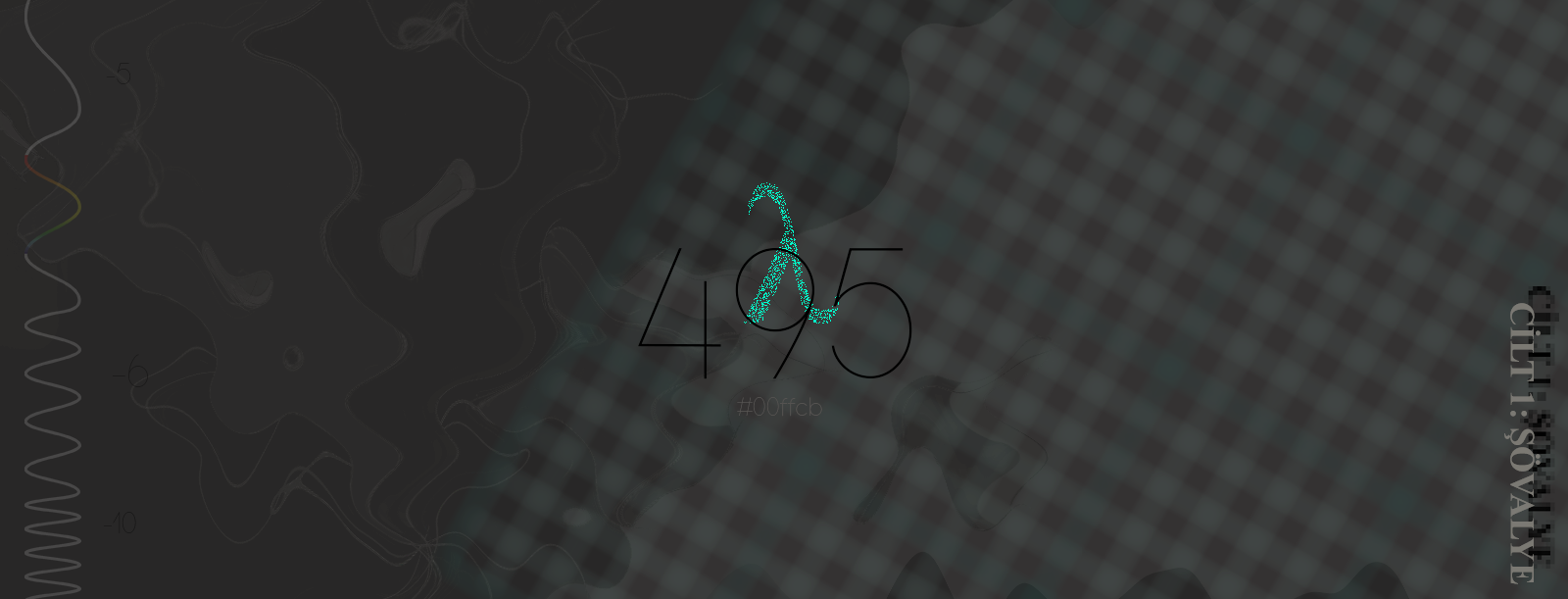 Cilt I: 495