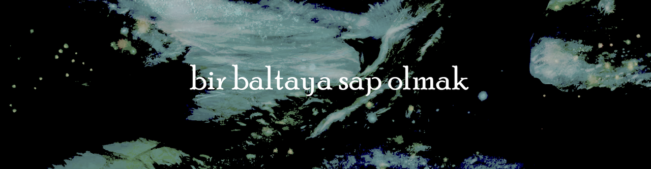 Bir Baltaya Sap Olmak